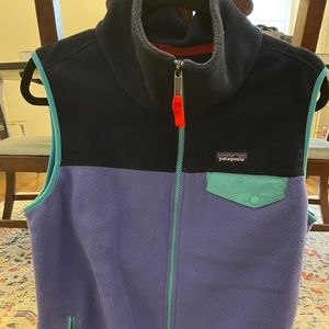 Patagonia Synchilla vest